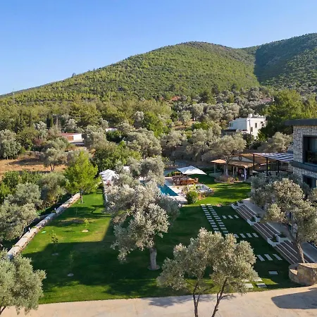 Villa Isolated, Luxurious Stay, Olivinn Yali Mansion