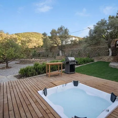 Vila Isolated, Luxurious Stay, Olivinn Yali Mansion Bodrum