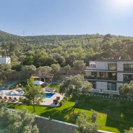 Villa Isolated, Luxurious Stay, Olivinn Yali Mansion *